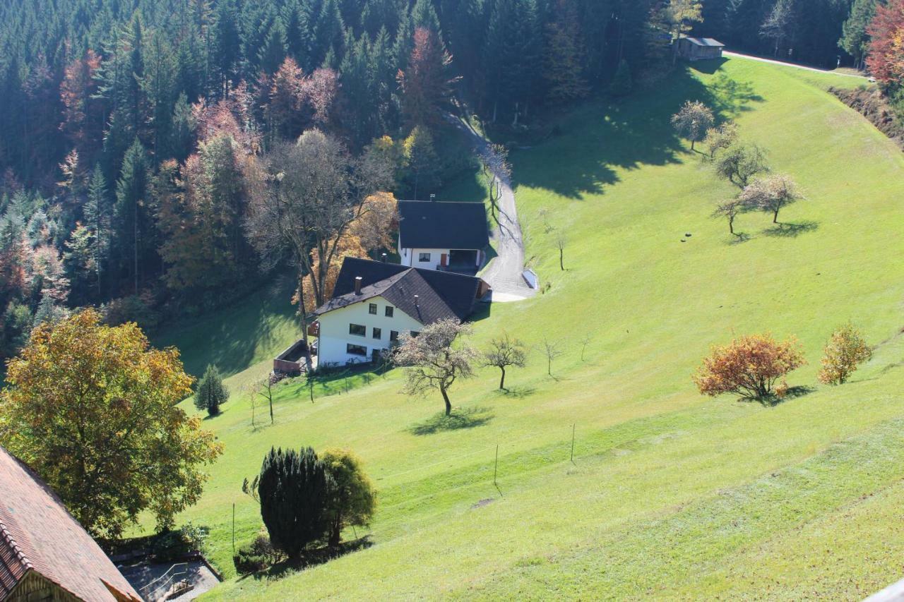 Haus Laetsch Leilighet Bad Peterstal-Griesbach Eksteriør bilde
